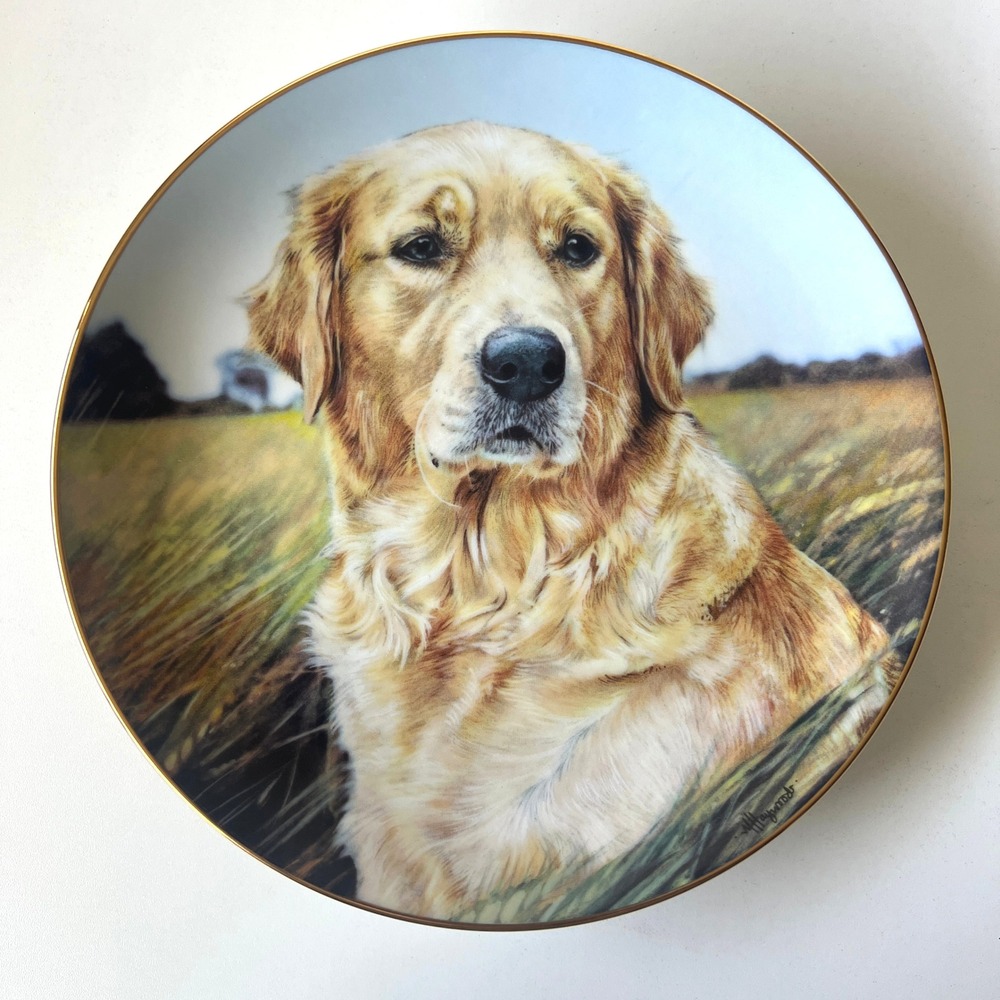 Danbury Mint Shades of Gold Golden Retriever Plate Mandie Haywood A8543